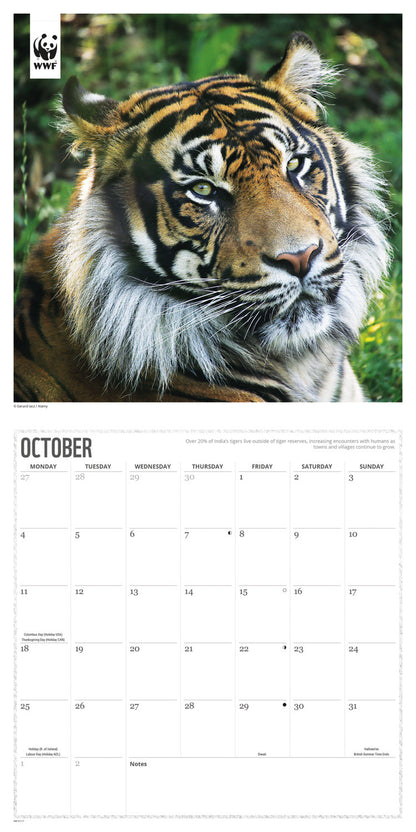 Tigers WWF Wall Calendar 2027