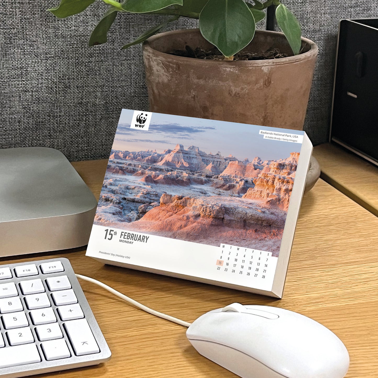 Natural World WWF Box Calendar 2027