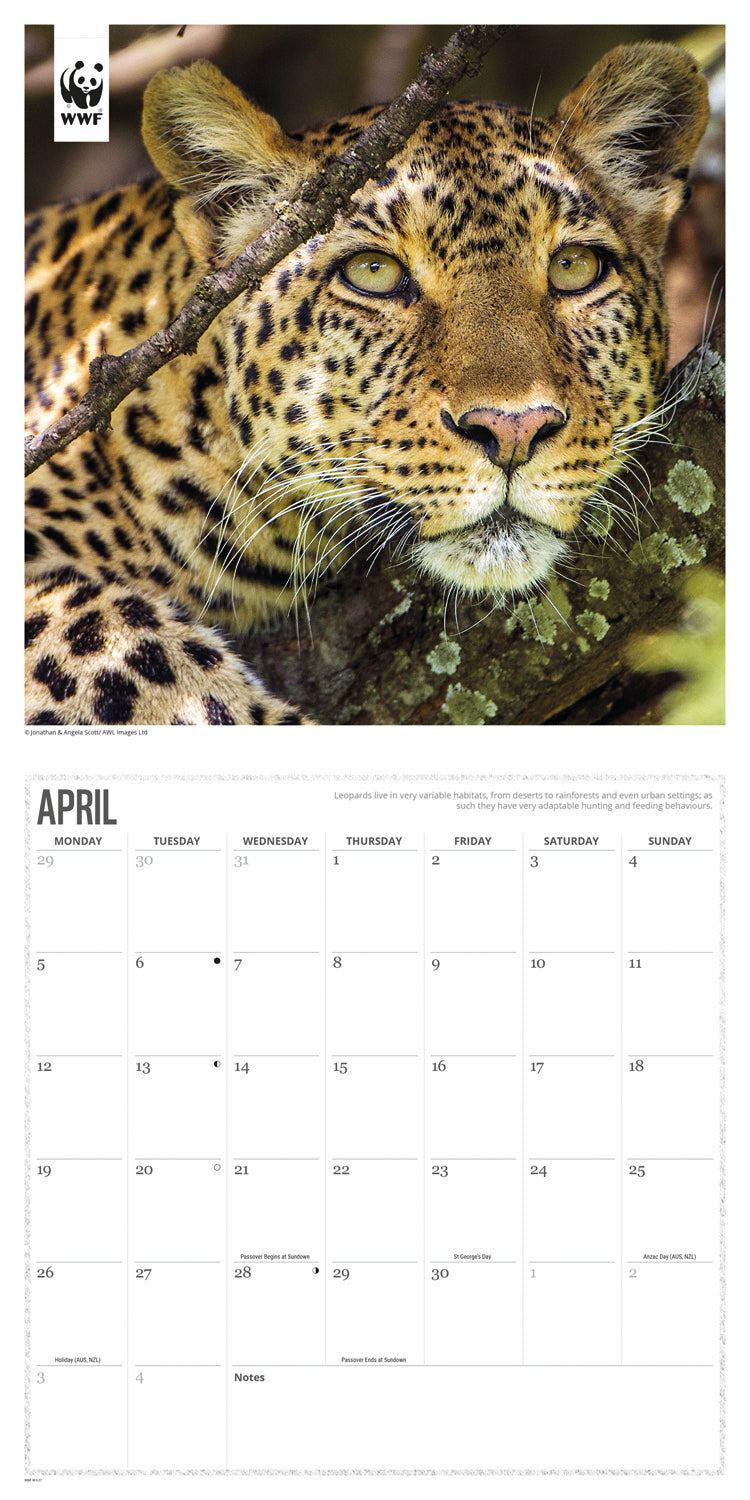 Big Cats WWF Wall Calendar 2027