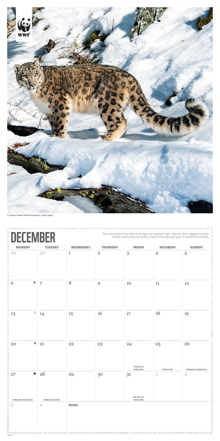 Big Cats WWF Wall Calendar 2027