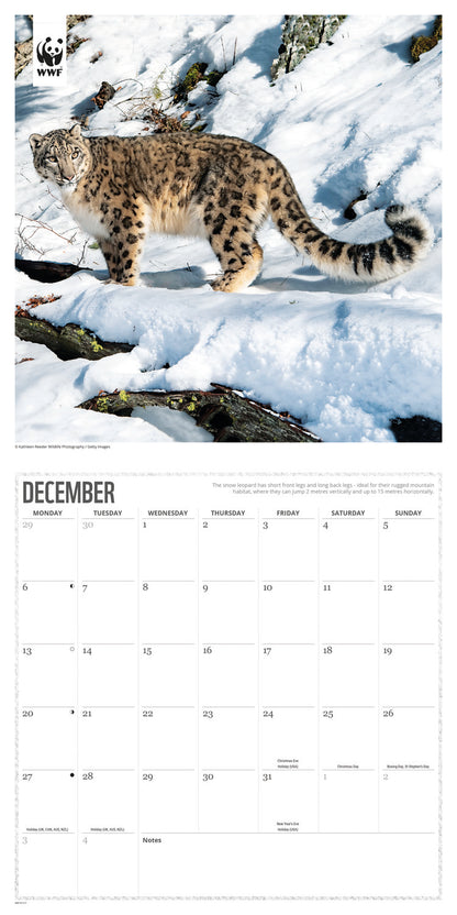 Big Cats WWF Wall Calendar 2027