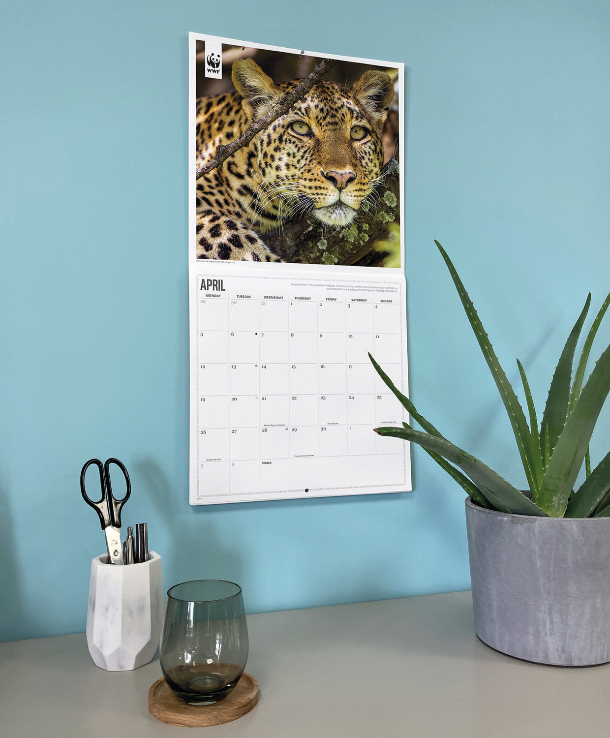 Big Cats WWF Wall Calendar 2027