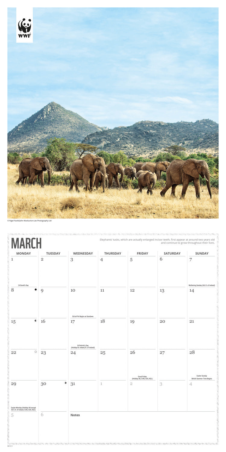 Elephants WWF Wall Calendar 2027