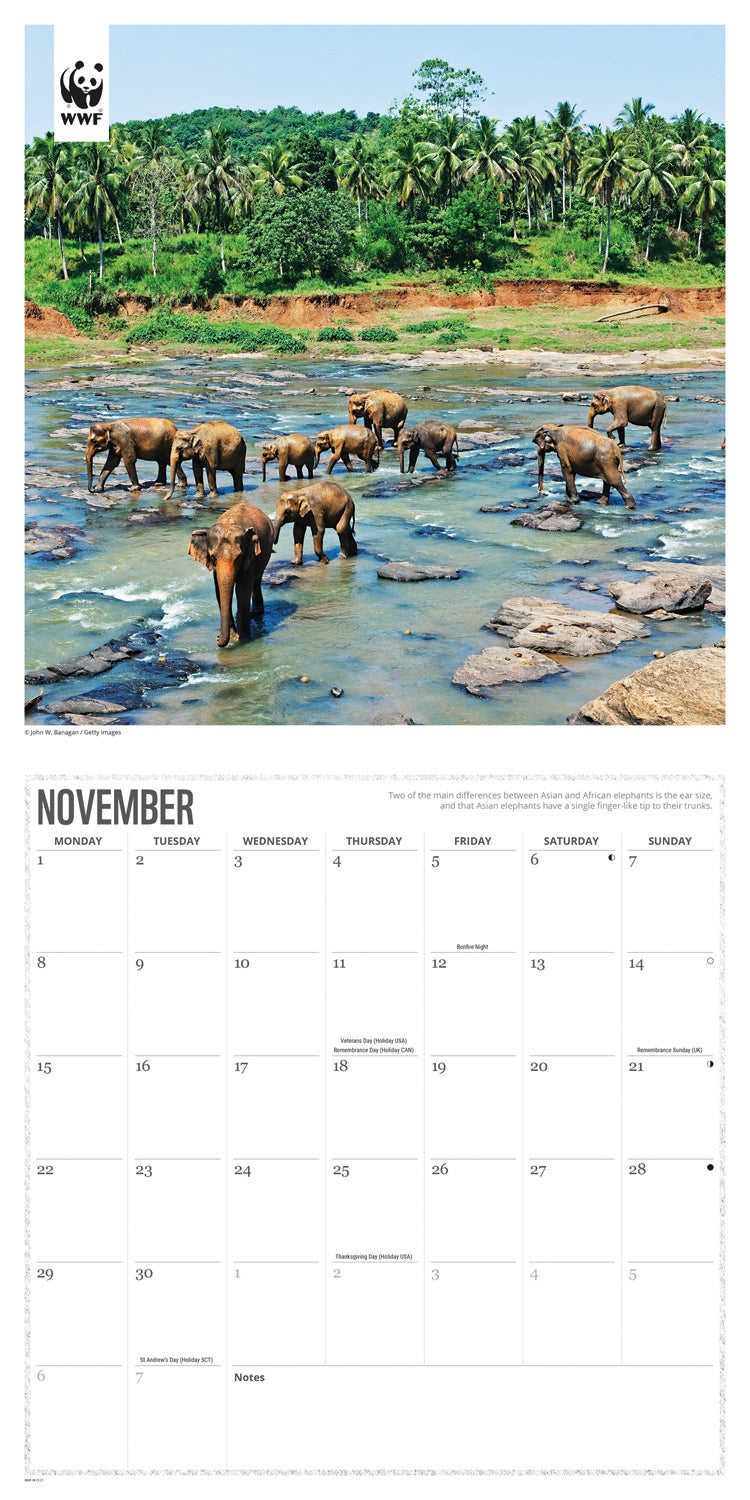 Elephants WWF Wall Calendar 2027