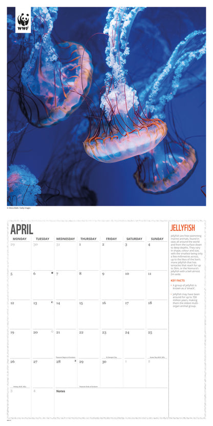 Oceans WWF Wall Calendar 2027
