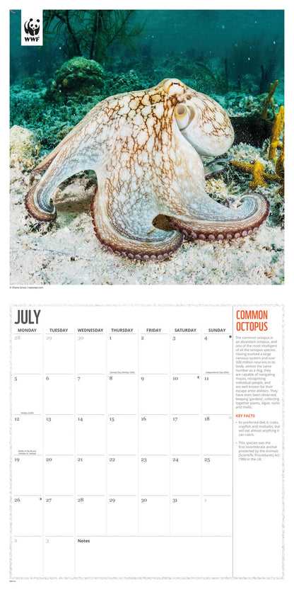 Oceans WWF Wall Calendar 2027