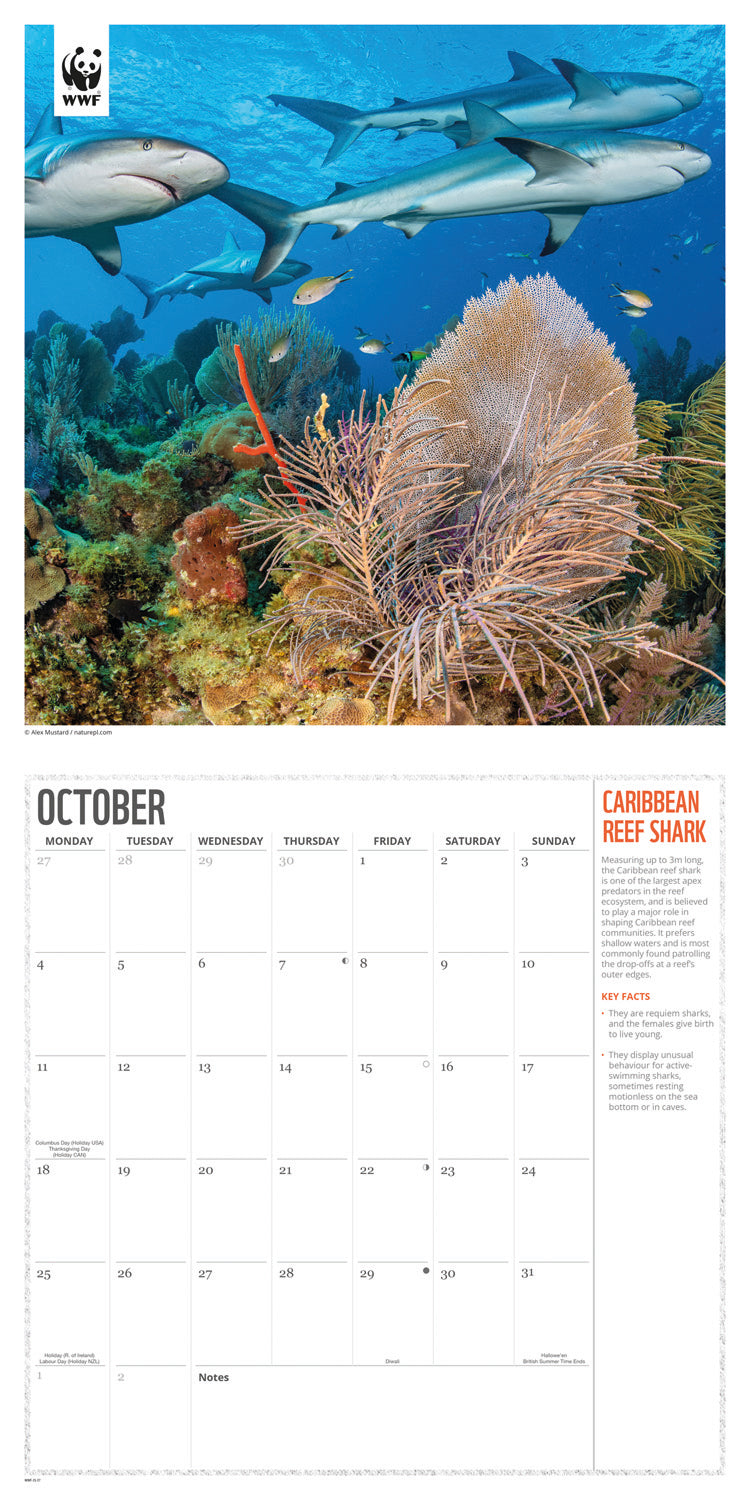 Oceans WWF Wall Calendar 2027