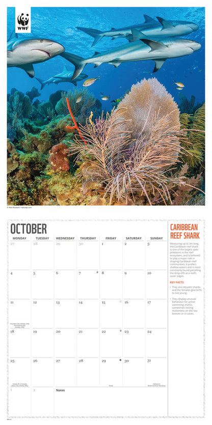Oceans WWF Wall Calendar 2027