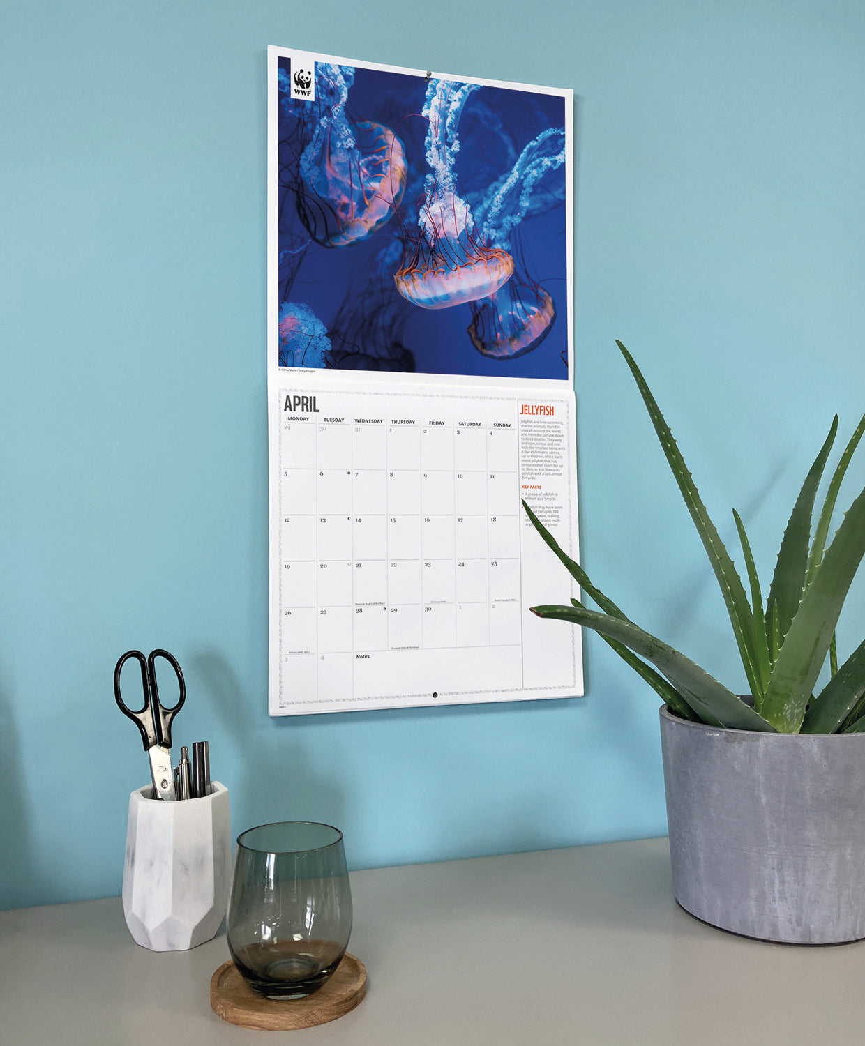 Oceans WWF Wall Calendar 2027
