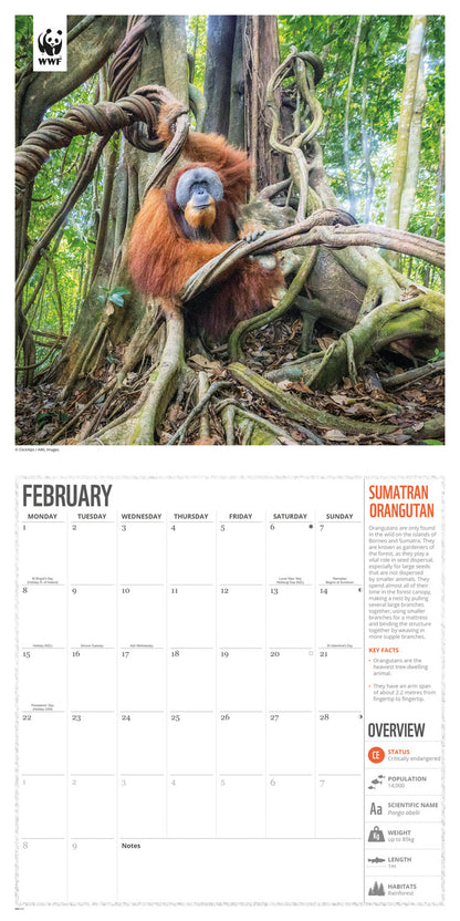 Amazing Wildlife WWF Wall Calendar 2027