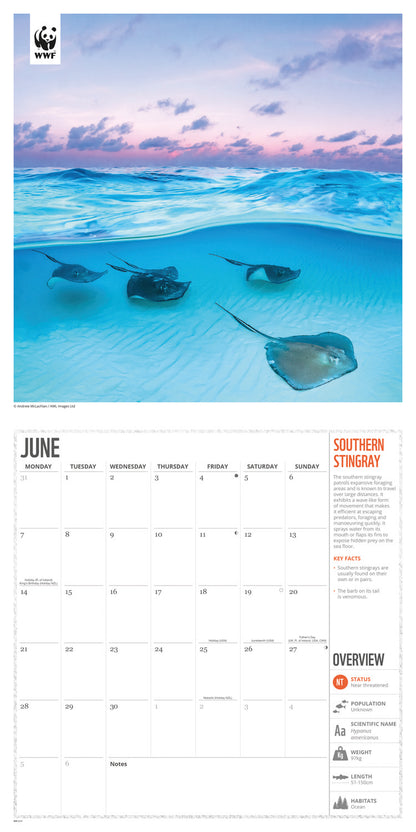 Amazing Wildlife WWF Wall Calendar 2027