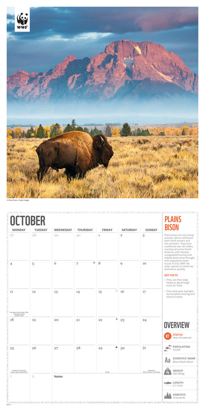 Amazing Wildlife WWF Wall Calendar 2027