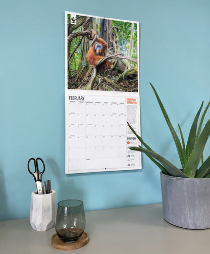 Amazing Wildlife WWF Wall Calendar 2027