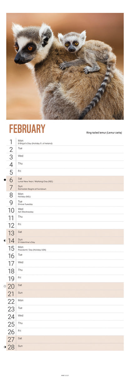 Baby Animals WWF Slim Calendar 2027