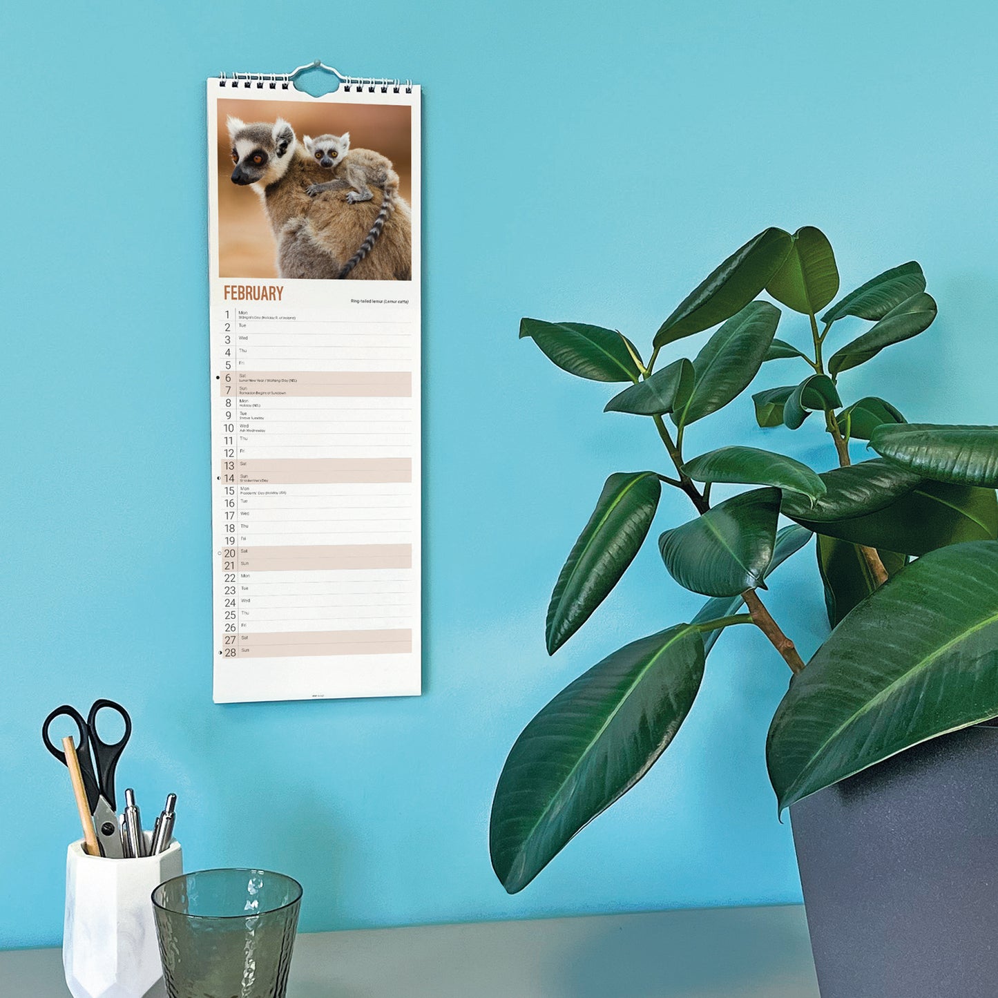 Baby Animals WWF Slim Calendar 2027