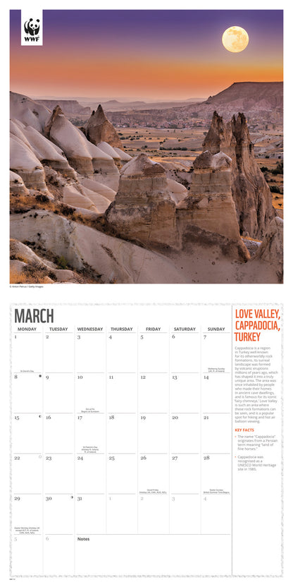 Fragile Earth WWF Wall Calendar 2027