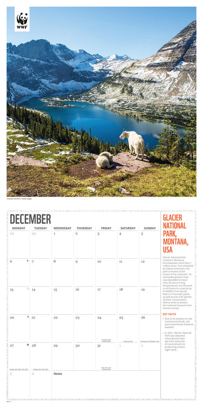Fragile Earth WWF Wall Calendar 2027