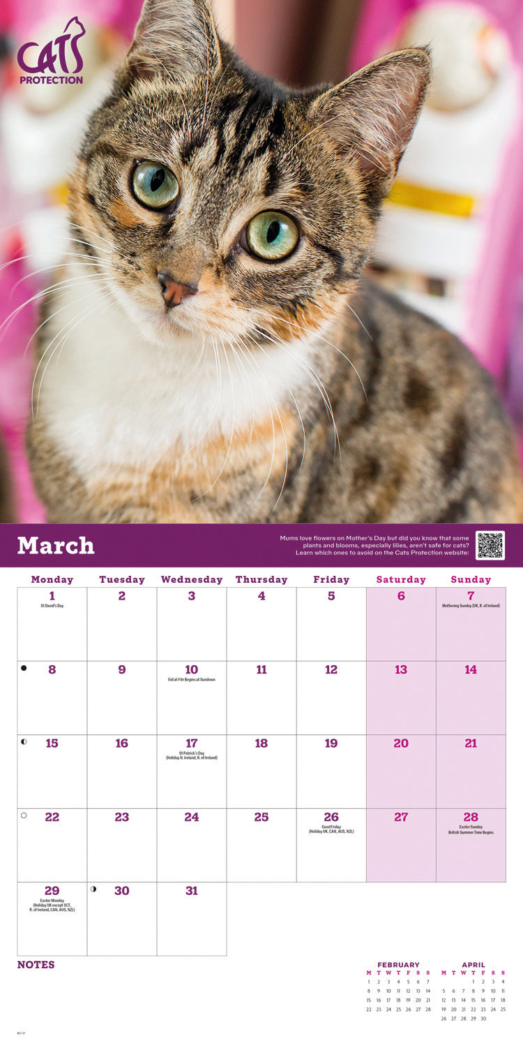 Cats Protection Wall Calendar 2027