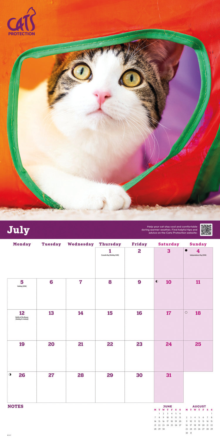 Cats Protection Wall Calendar 2027