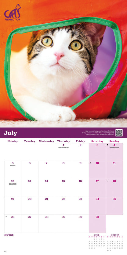 Cats Protection Wall Calendar 2027