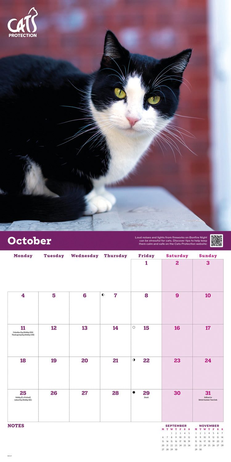 Cats Protection Wall Calendar 2027