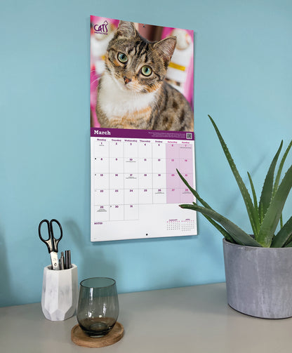 Cats Protection Wall Calendar 2027
