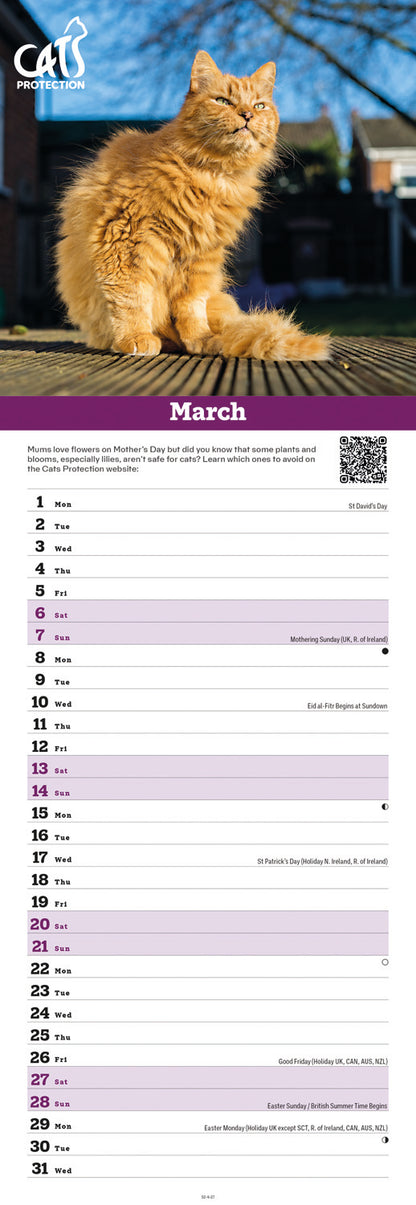 Cats Protection Slim Calendar 2027