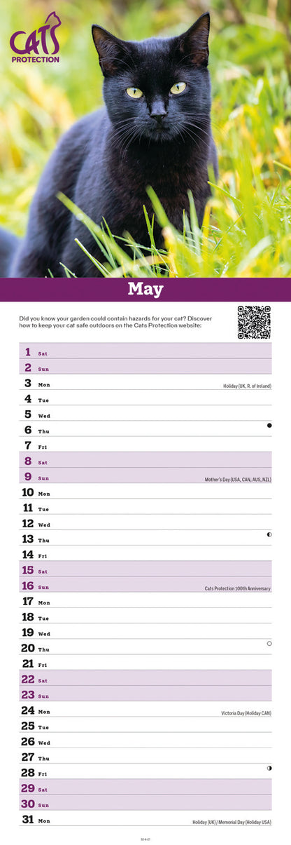 Cats Protection Slim Calendar 2027
