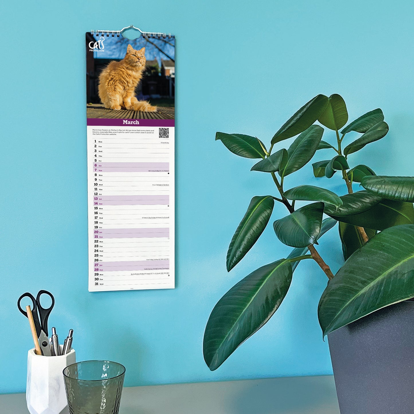 Cats Protection Slim Calendar 2027