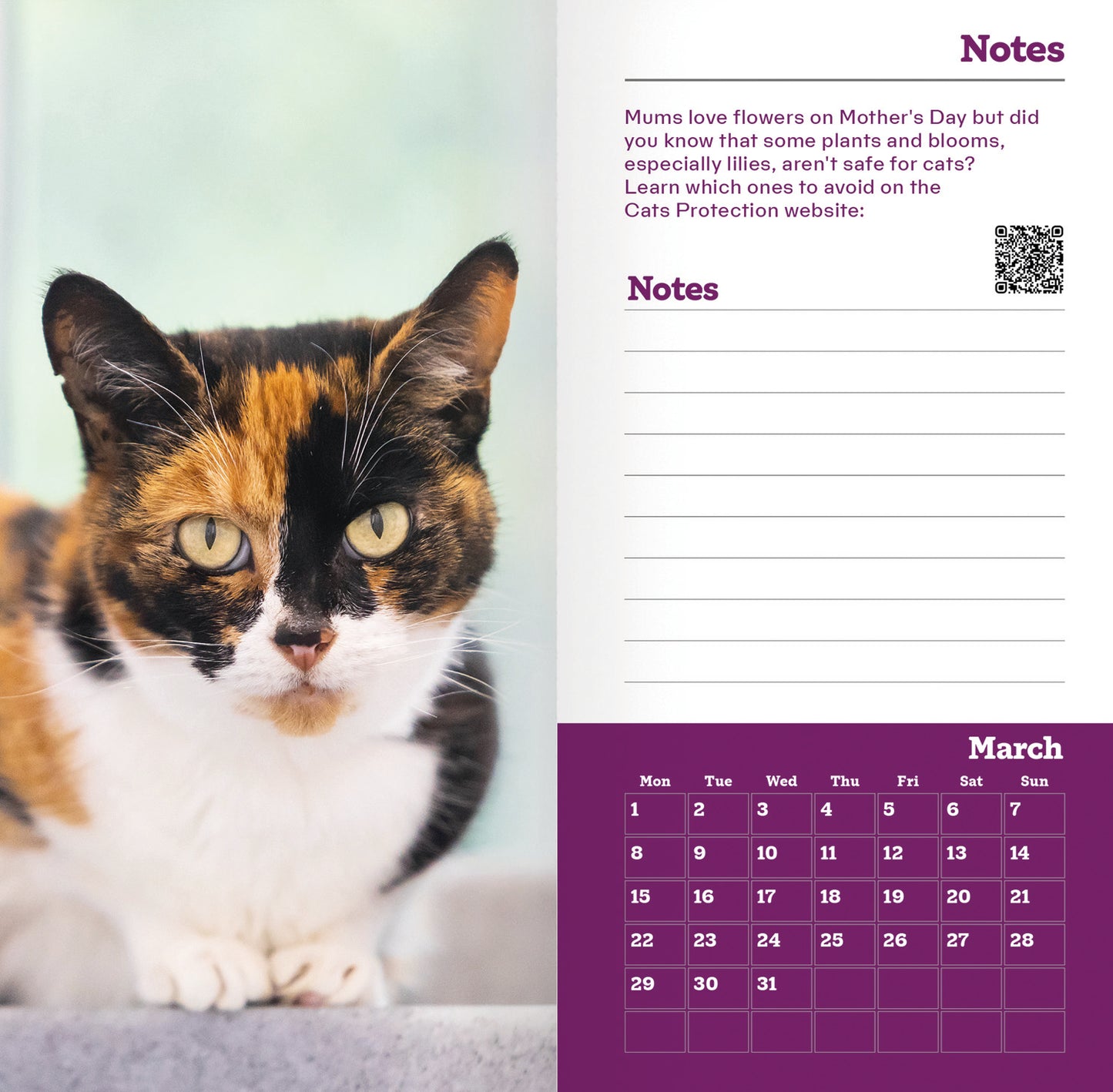 Cats Protection Slim Diary 2027