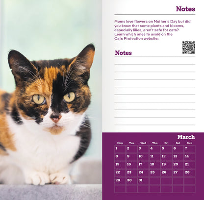 Cats Protection Slim Diary 2027