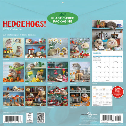 Hedgehogs! Wall Calendar 2027