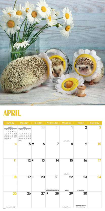 Hedgehogs! Wall Calendar 2027
