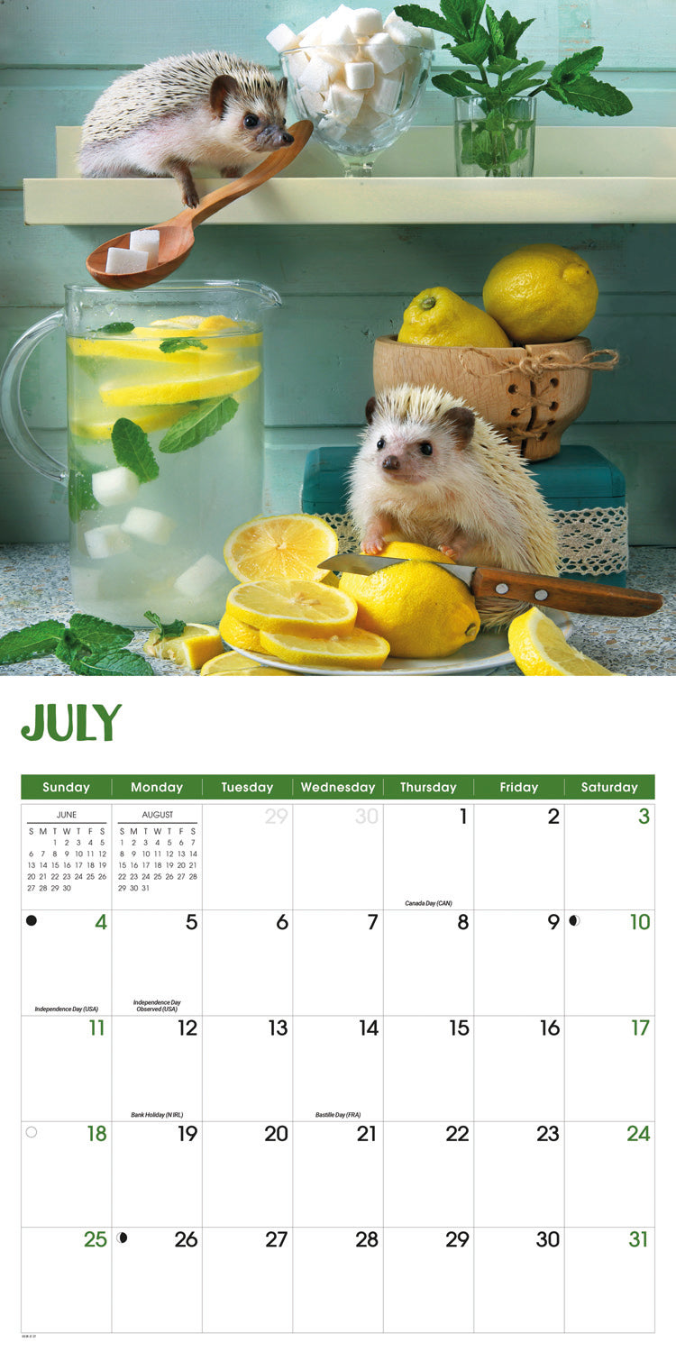 Hedgehogs! Wall Calendar 2027