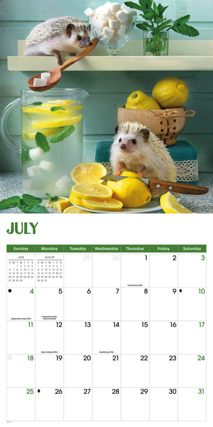 Hedgehogs! Wall Calendar 2027