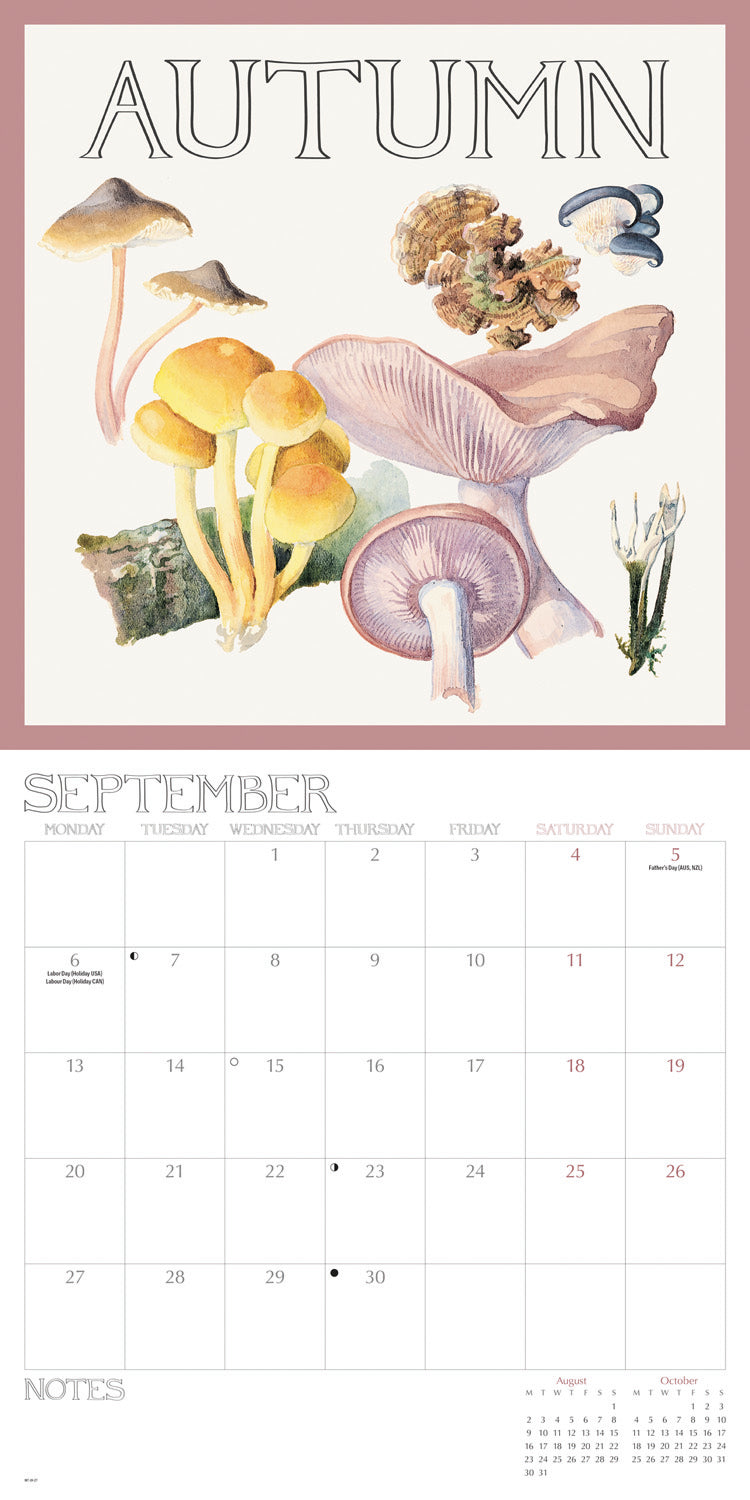 Country Diary, Edith Holden Wall Calendar 2027