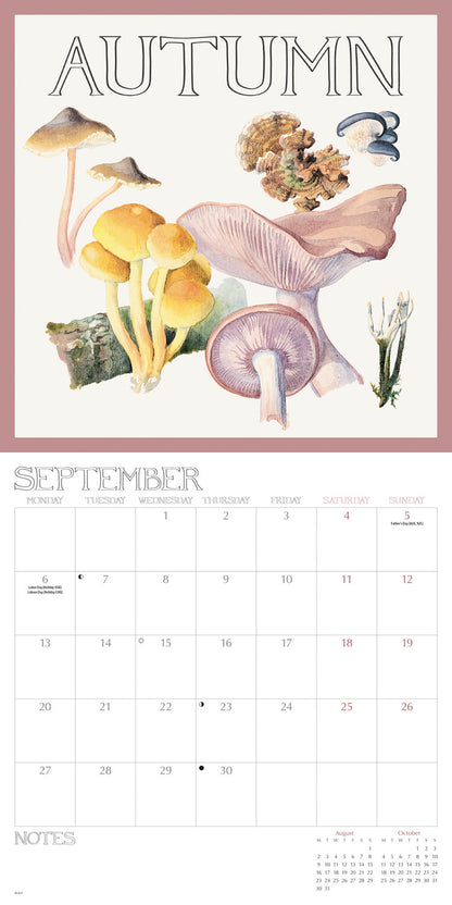 Country Diary, Edith Holden Wall Calendar 2027