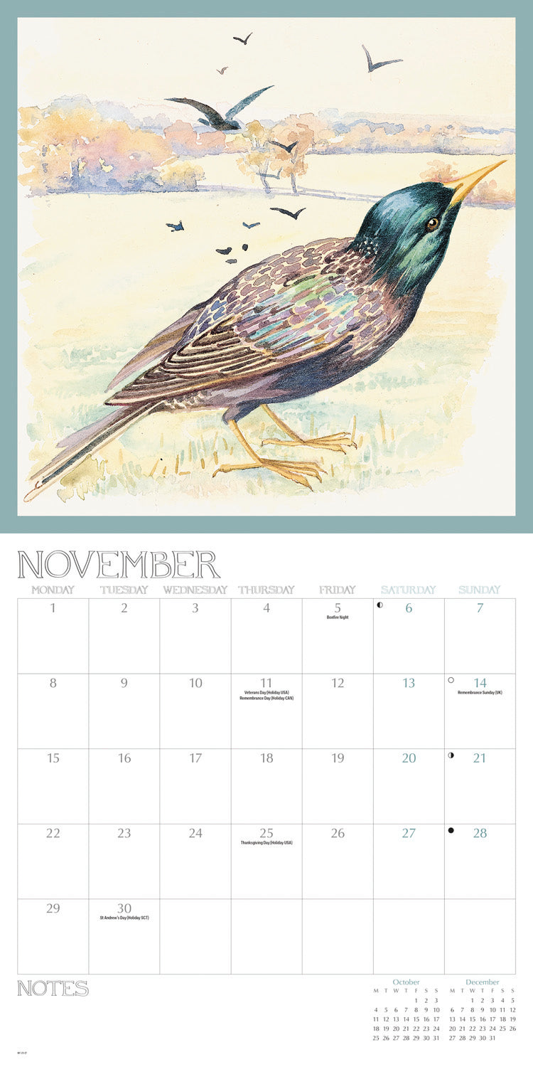 Country Diary, Edith Holden Wall Calendar 2027