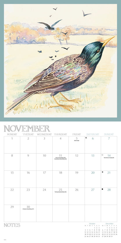 Country Diary, Edith Holden Wall Calendar 2027