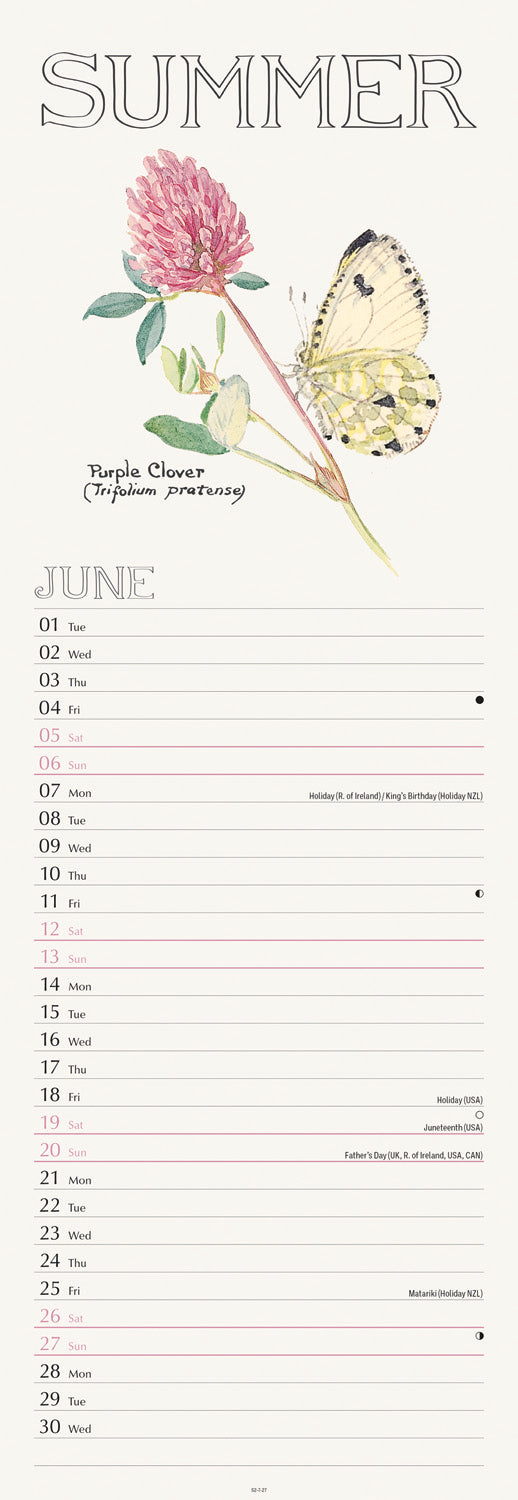 Country Diary, Edith Holden Slim Calendar 2027