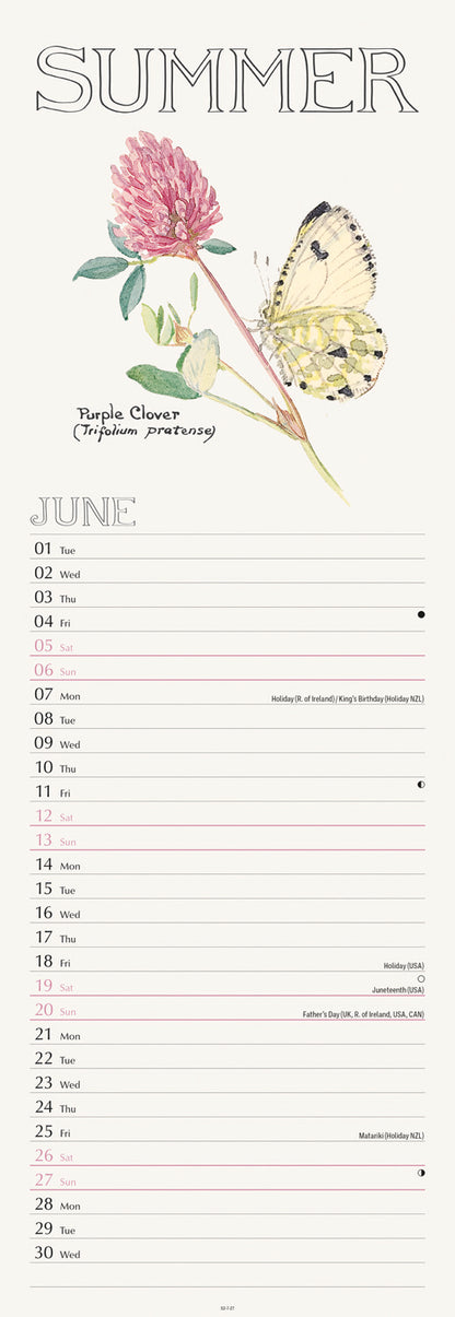 Country Diary, Edith Holden Slim Calendar 2027