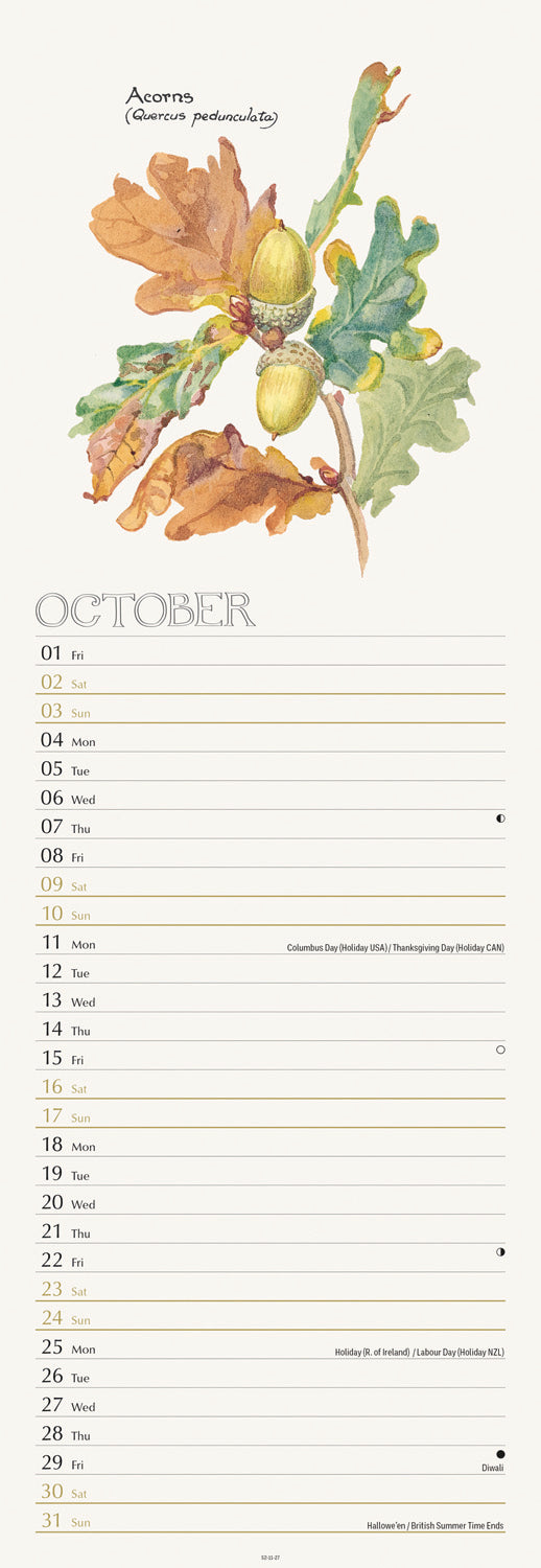 Country Diary, Edith Holden Slim Calendar 2027