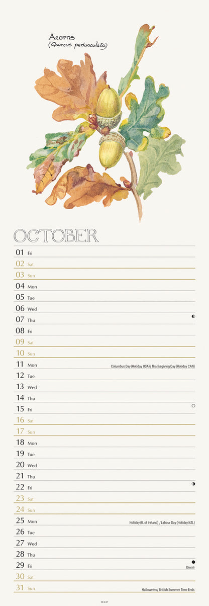 Country Diary, Edith Holden Slim Calendar 2027