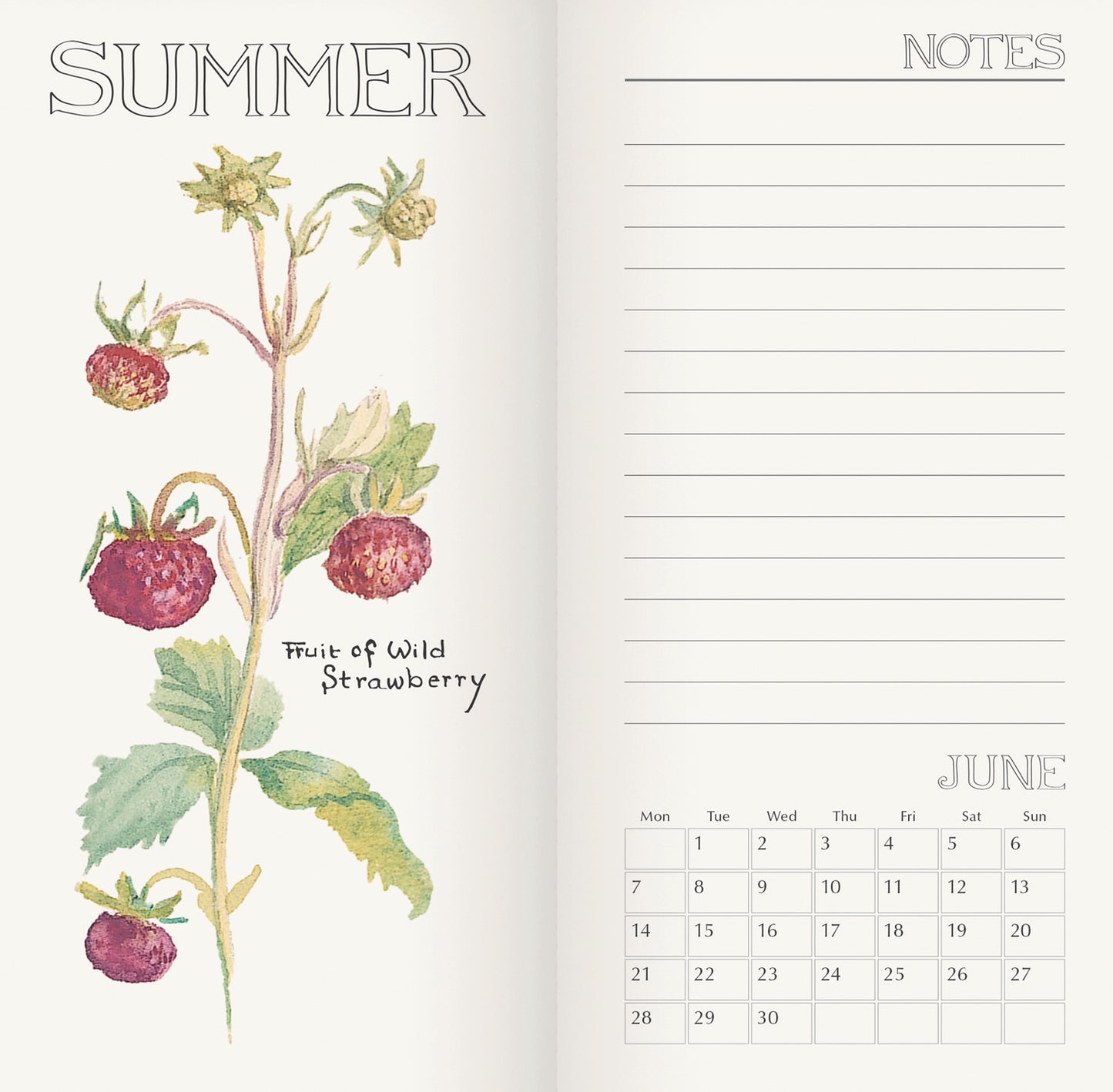 Country Diary, Edith Holden Slim Diary 2027