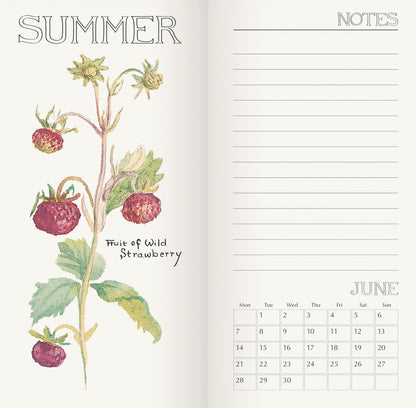 Country Diary, Edith Holden Slim Diary 2027
