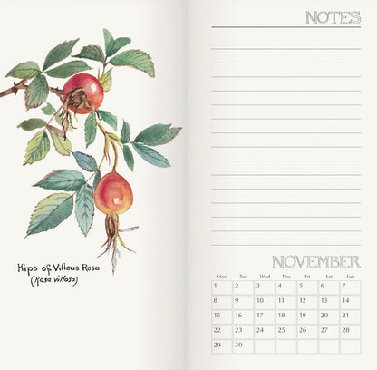 Country Diary, Edith Holden Slim Diary 2027
