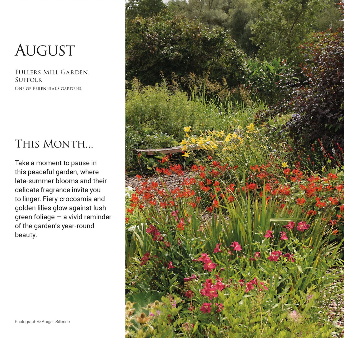 Beautiful Gardens, Alan Titchmarsh Slim Diary 2027