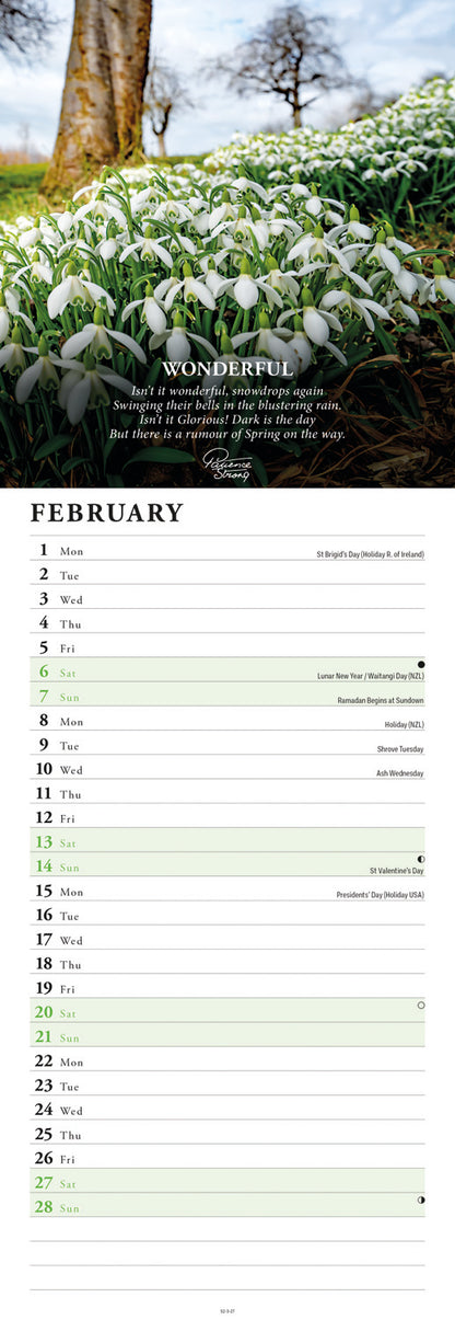 Patience Strong Slim Calendar 2027