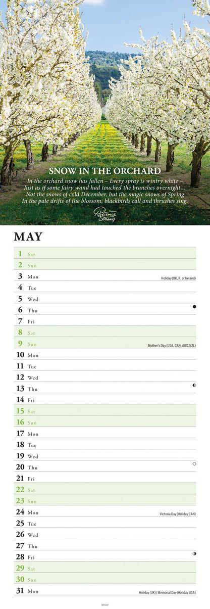 Patience Strong Slim Calendar 2027