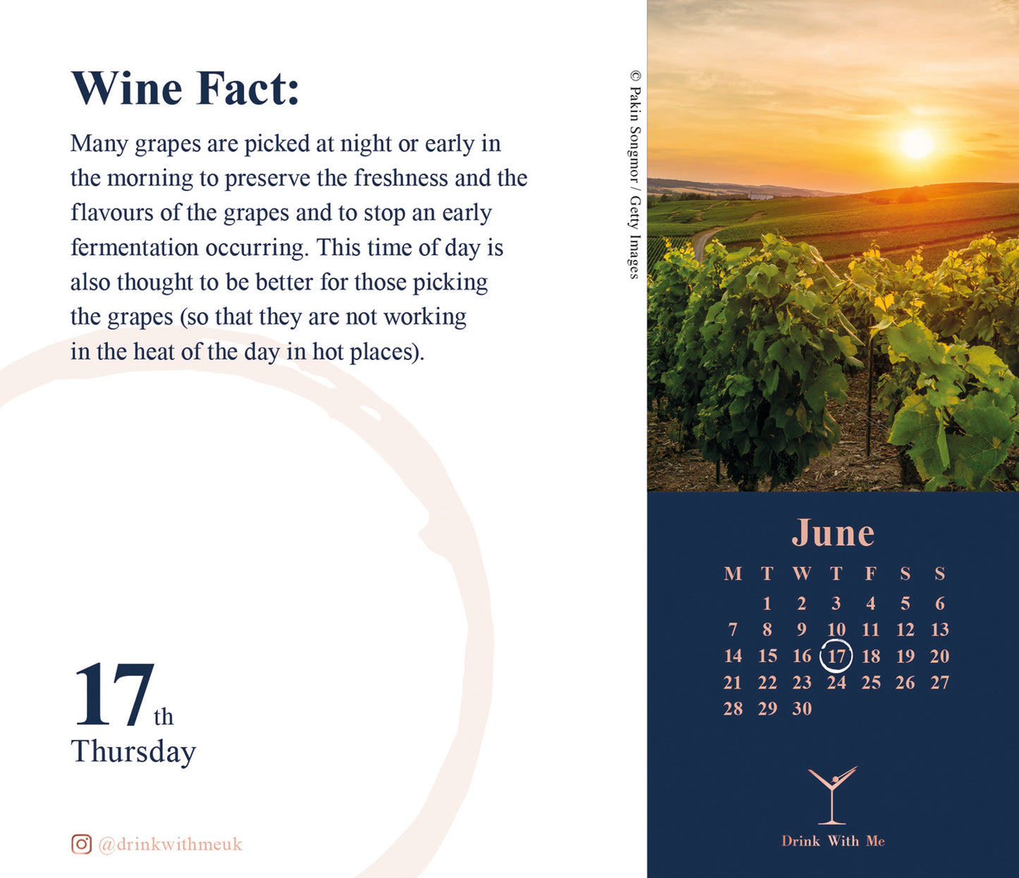 Wine Wisdom Box Calendar 2027